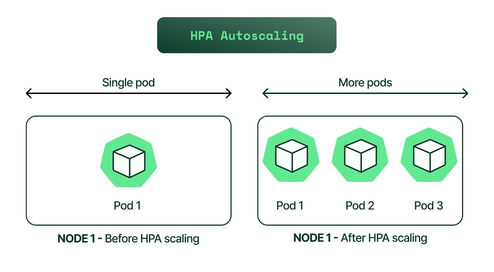 HPA Diagram